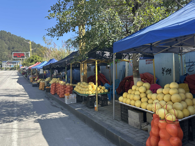 沿线蜜柚摊。吴翔摄.png