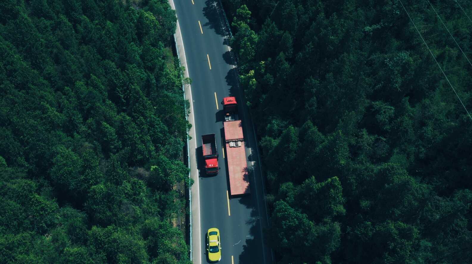 桐木湾路段(刘冬娜 摄).jpeg