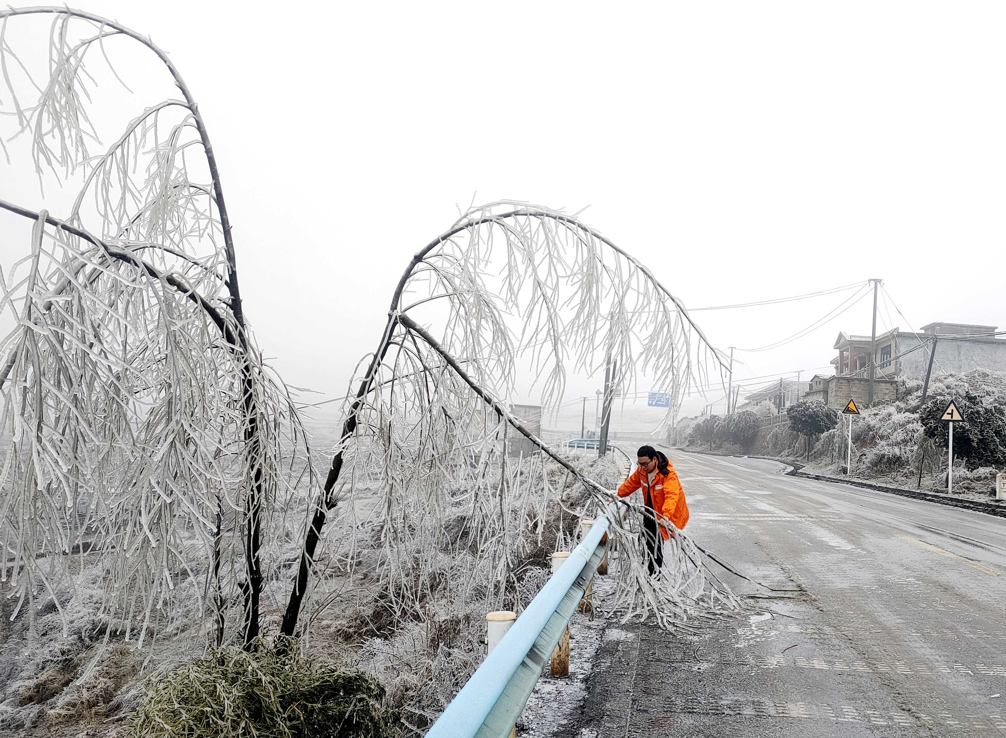 清理G326线路边倒伏树枝(张生级 摄).jpg